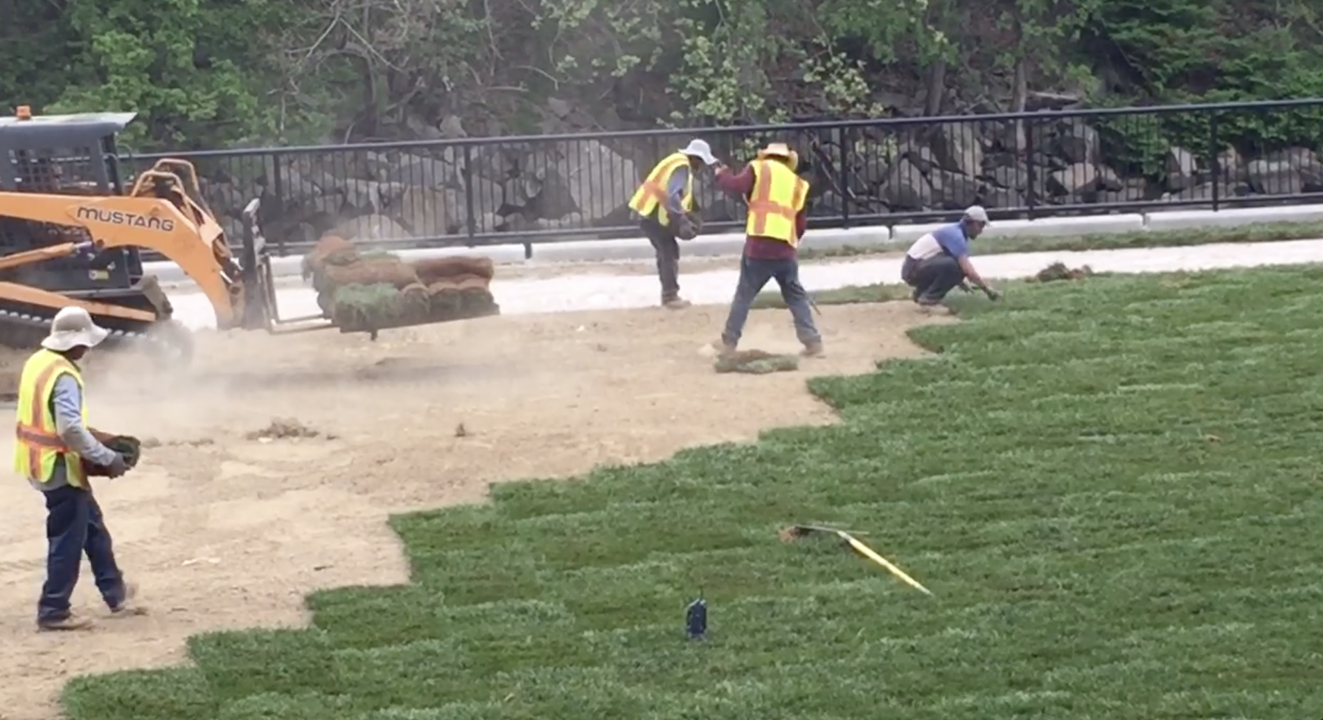 3 Ways to Take Advantage of Sod Installation Near Me